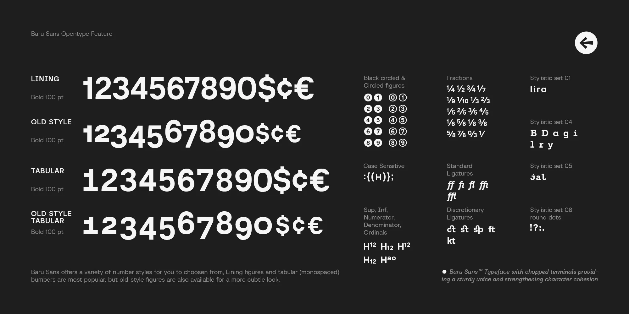 Comprehensive OpenType features display showing various number styles, ligatures, and stylistic sets featuring Baru Sans modern typeface