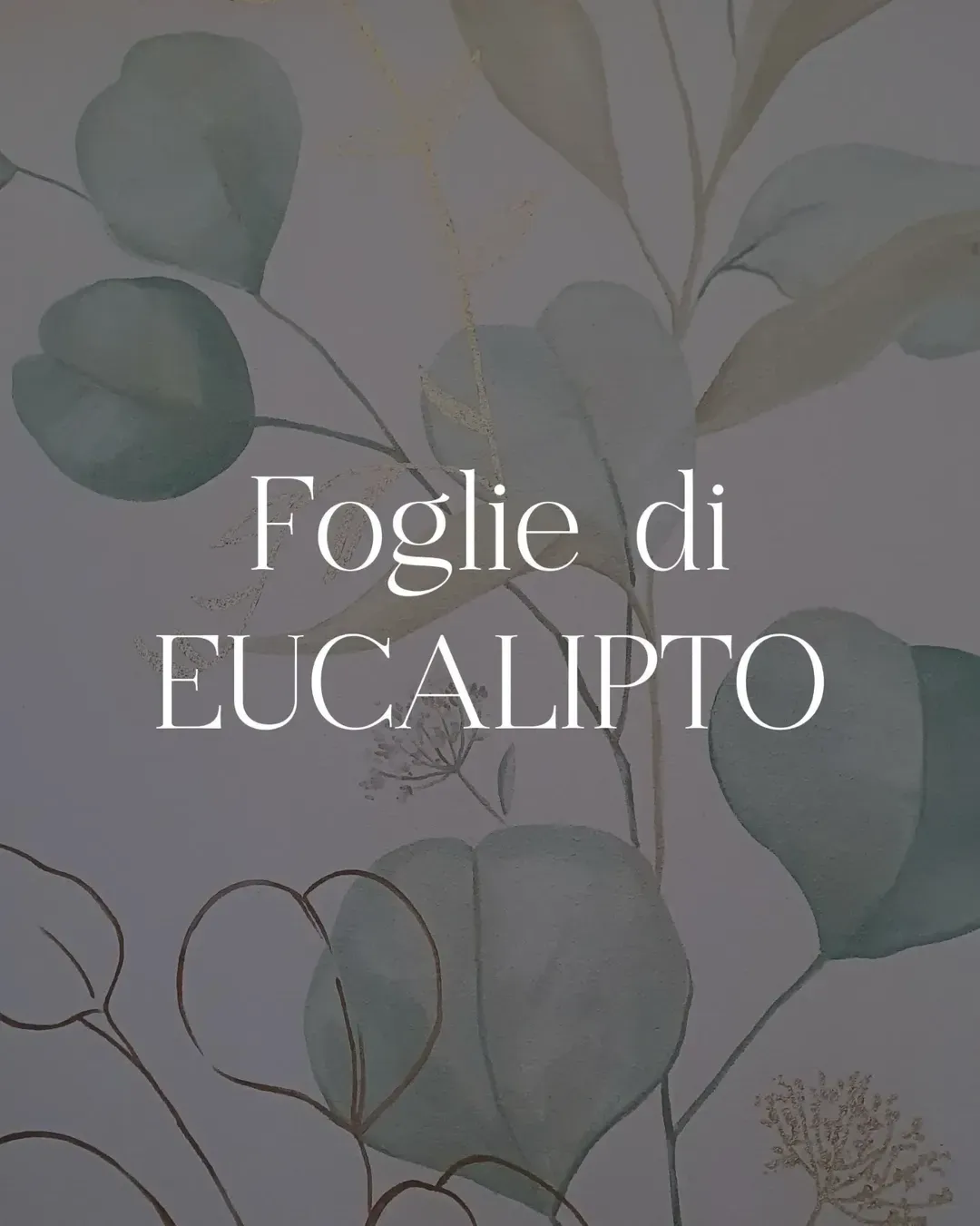Minimalist graphic overlay on a botanical mural background with the text Foglie di Eucalipto featuring Ethereal font in use