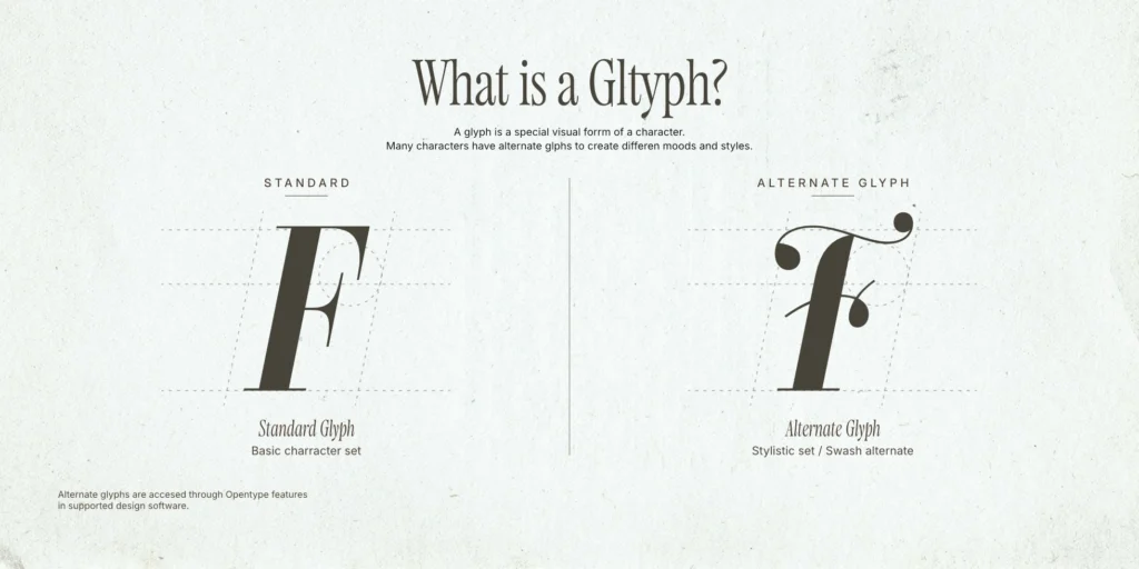 Typography educational graphic explaining the concept of a glyph, illustrating the shape difference between a standard glyph of the letter F and a swash-style alternate glyph of the same letter.